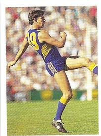 1991 Select AFL Stickers #244 Brett Heady Front